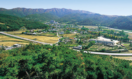 14용화동